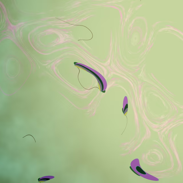 Image 41